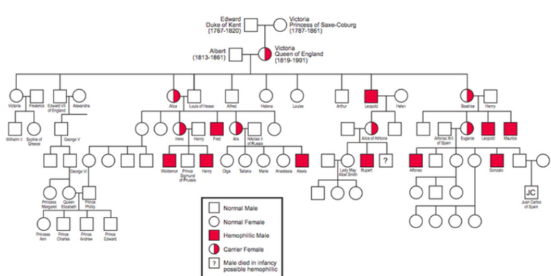 Hemophilia Pedigree Chart Royal Family
